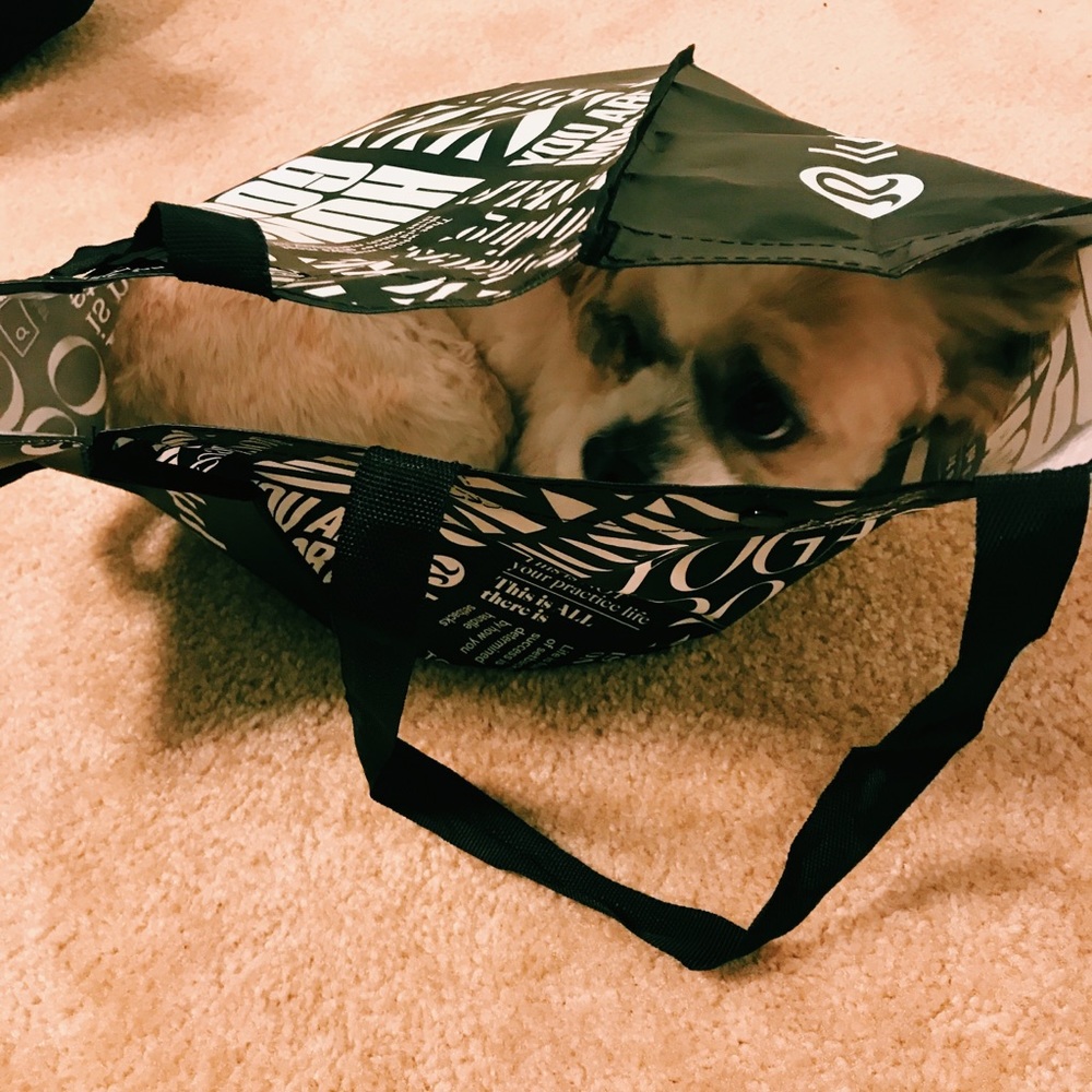 Meet your Posher, Riley